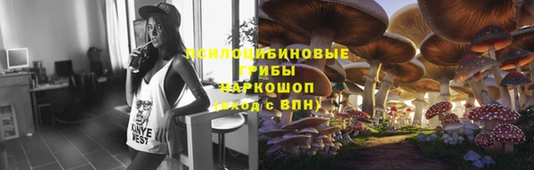 ГАЛЛЮЦИНОГЕННЫЕ ГРИБЫ Балабаново