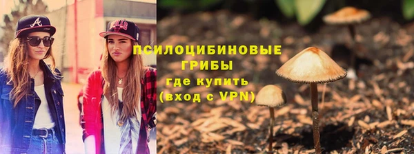 ГАЛЛЮЦИНОГЕННЫЕ ГРИБЫ Балабаново