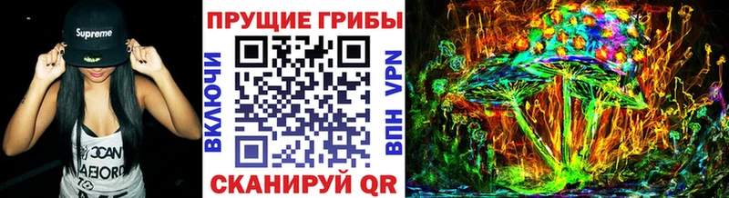 blacksprut ONION  Верхотурье  Галлюциногенные грибы Psilocybe 